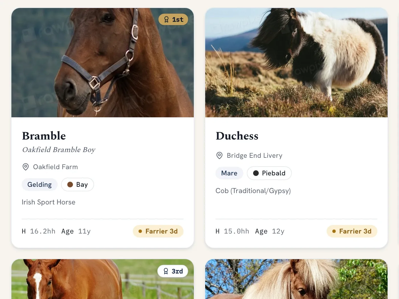 The horse gallery in ManageMyStable, showing photo cards for Bramble and Duchess with breed, age and their next farrier date.